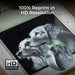 HD Engraving