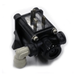 Viper Spray Head Solenoid for XPT 6000